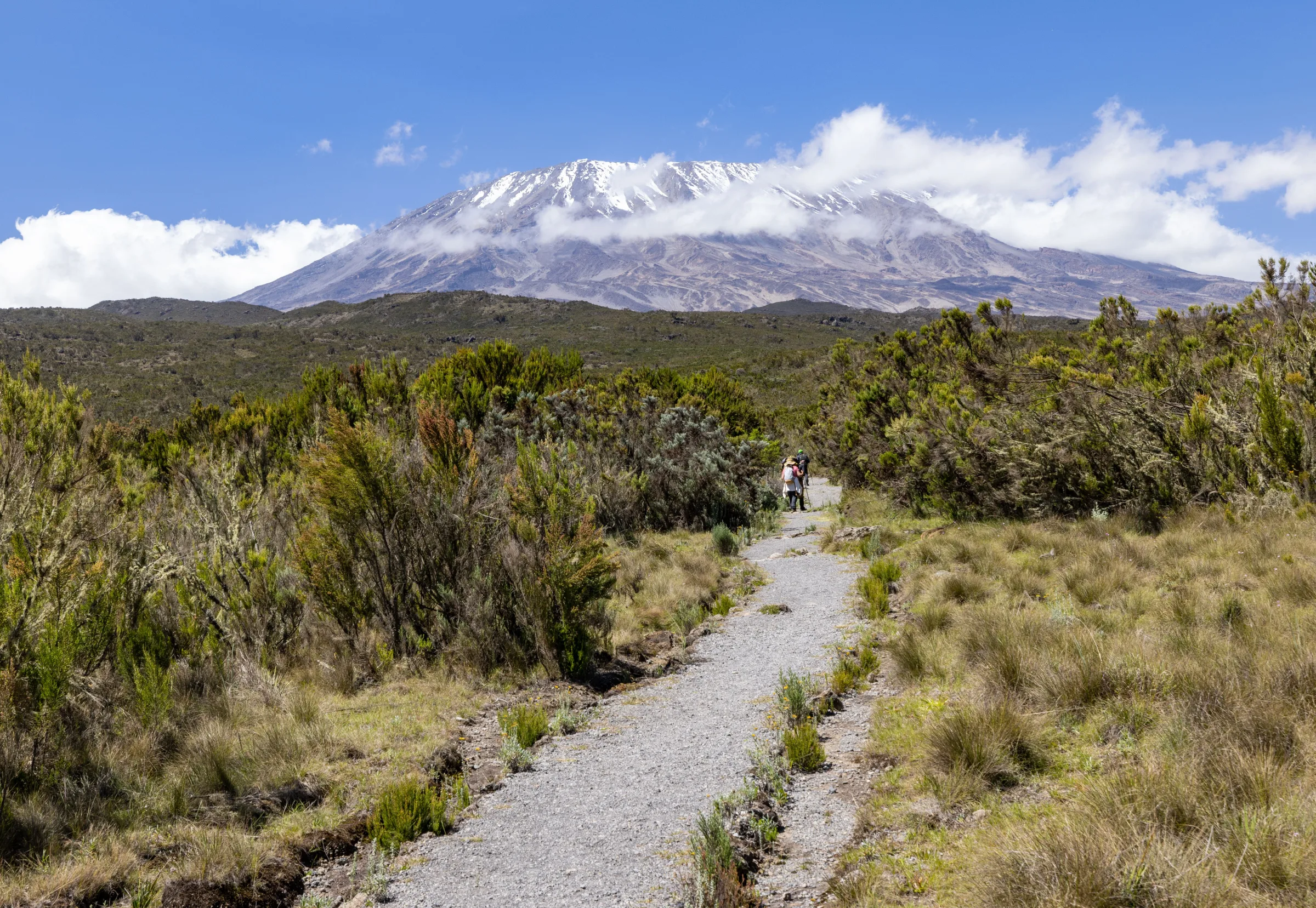 Kilimanjaro views from Amboseli into the Serengeti