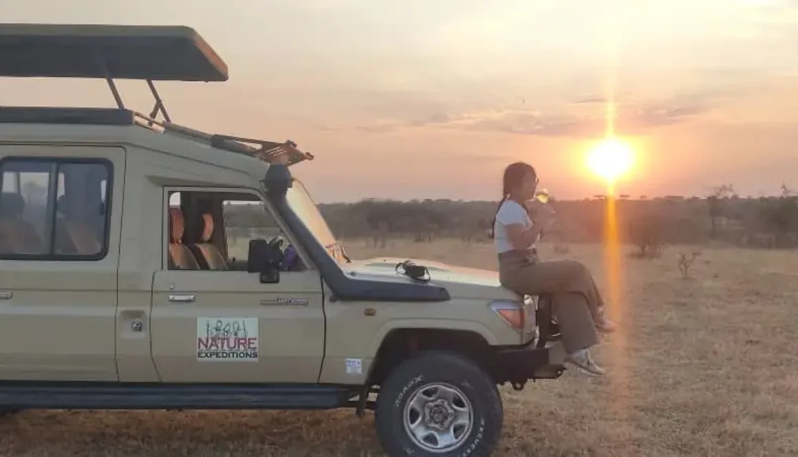 A safari adventurer sitting on top of safari Landcruiser in Masai Mara, Kenya
