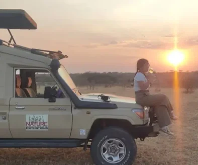 A safari adventurer sitting on top of safari Landcruiser in Masai Mara, Kenya